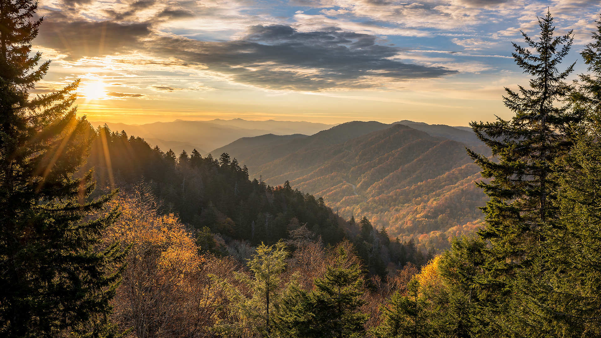 Trails of the Smokies