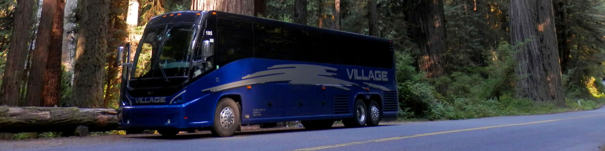 Bus tours