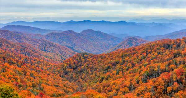 Smoky Mountain Legacy