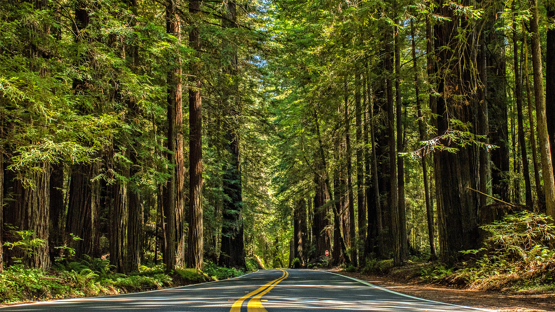 West Coast Wonders