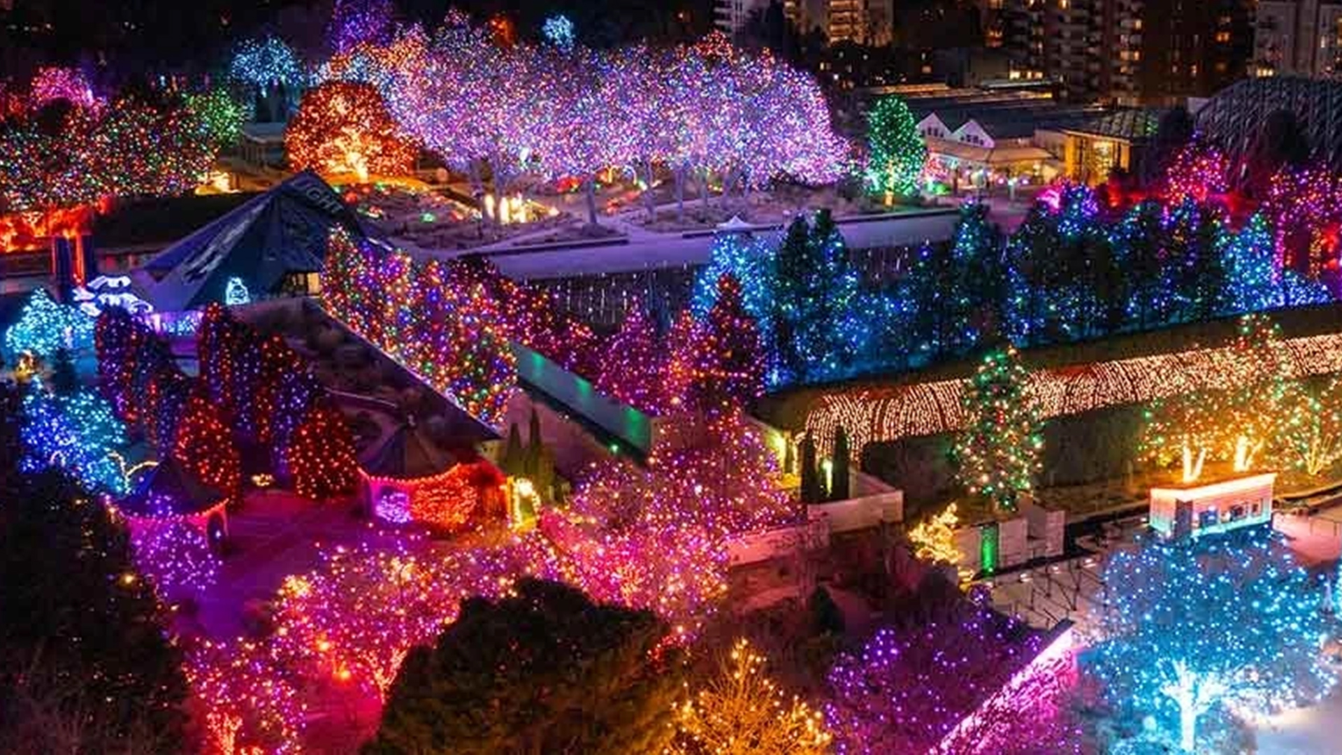 Christmas in the Rockies