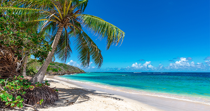 Bahamas Coach and Cruise tour