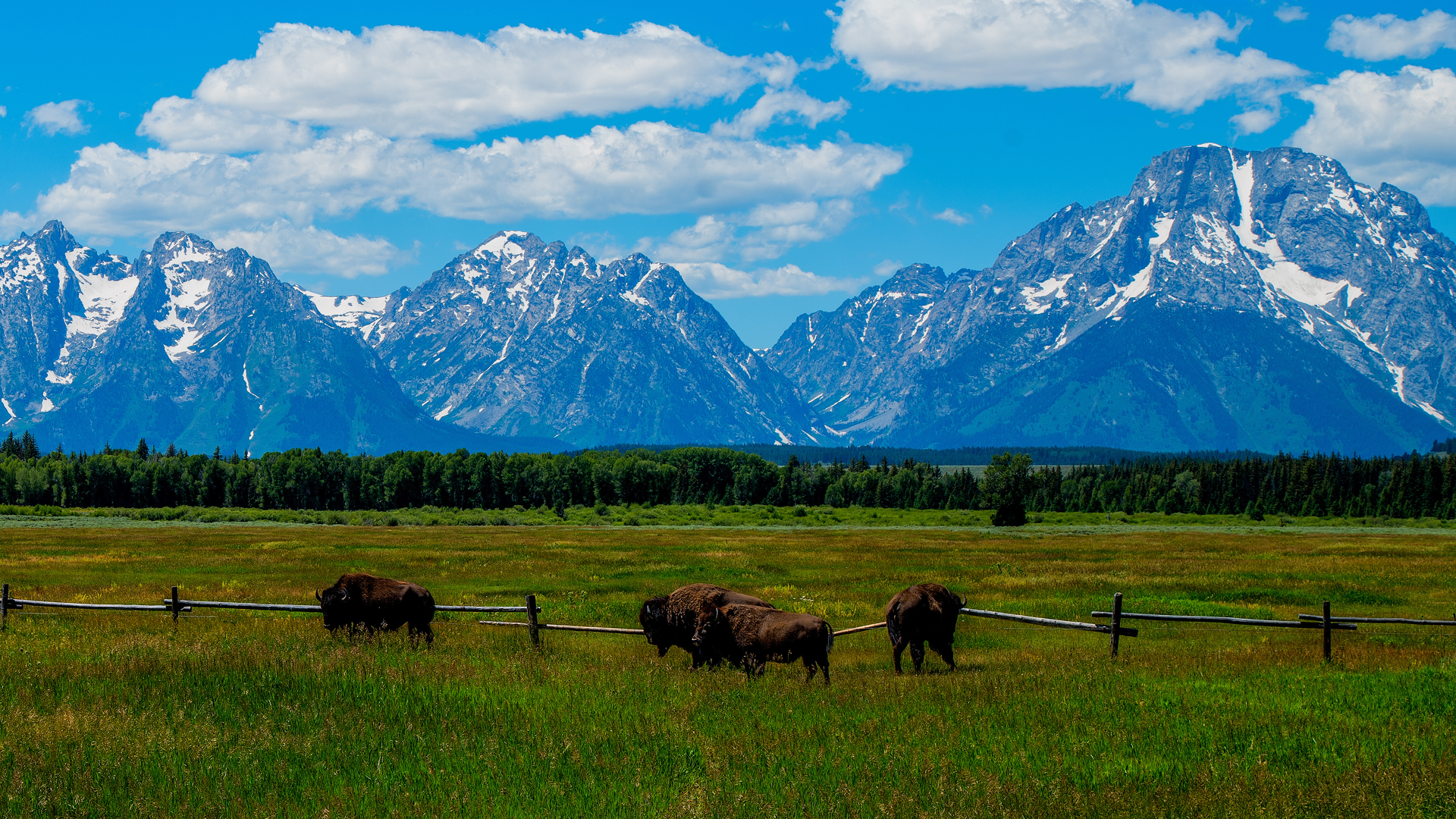 Wild West Wyoming tour