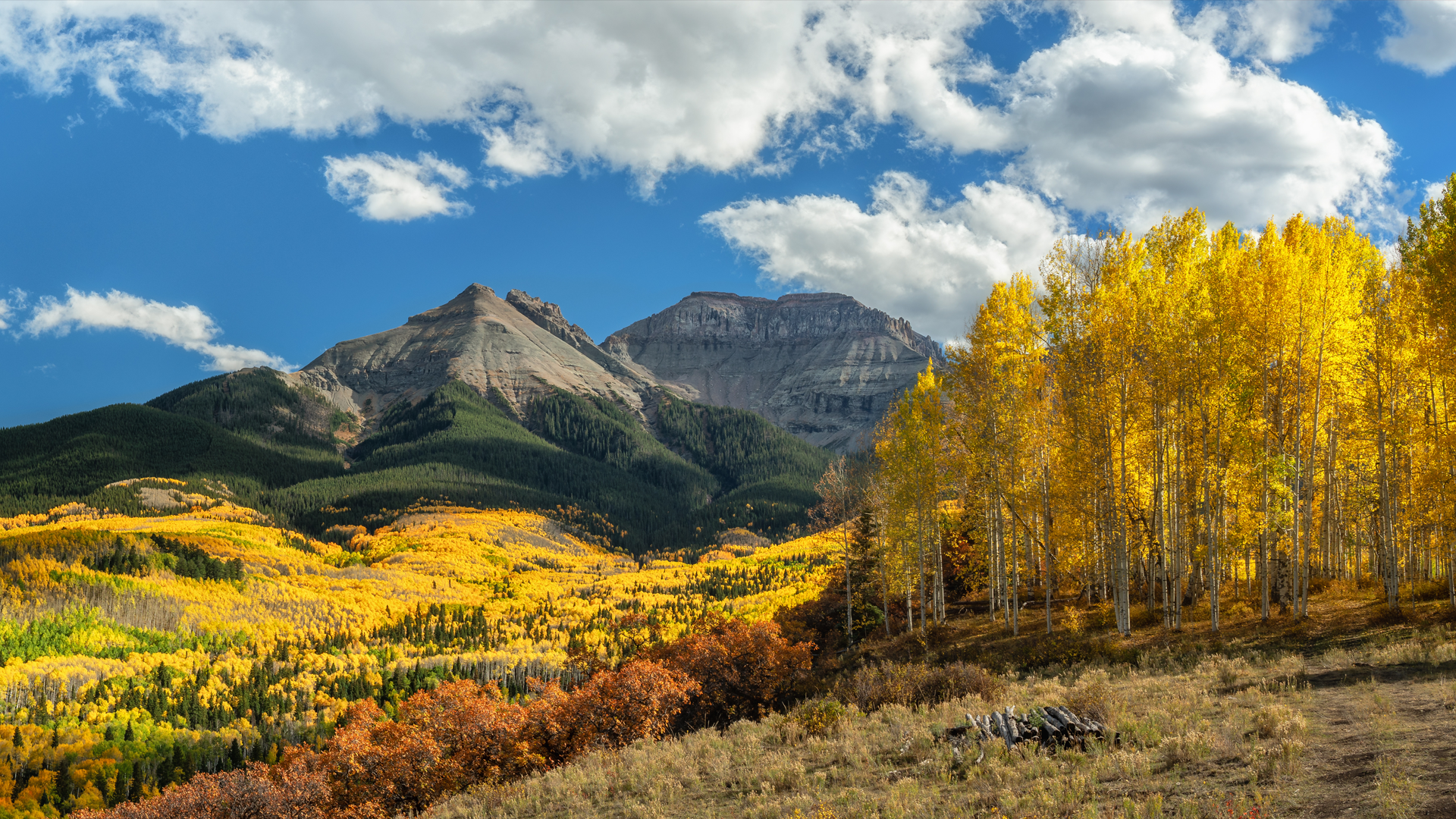 Colorado Fall Colors tour