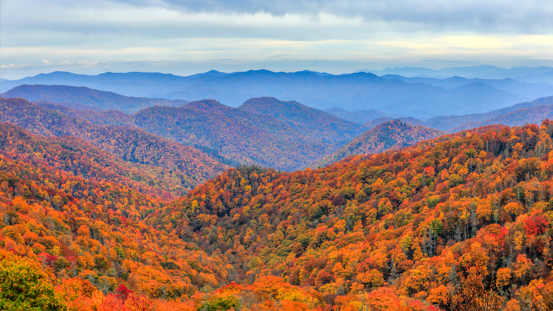 Smoky Mountain Legacy tour