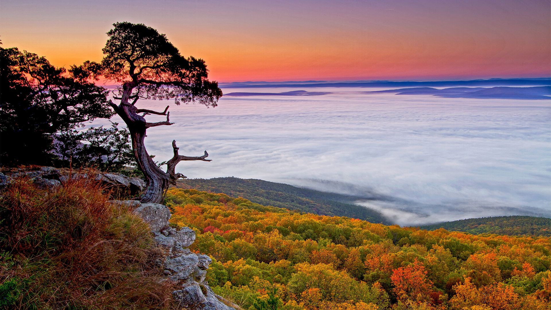 Autumn in Mount Magazine tour
