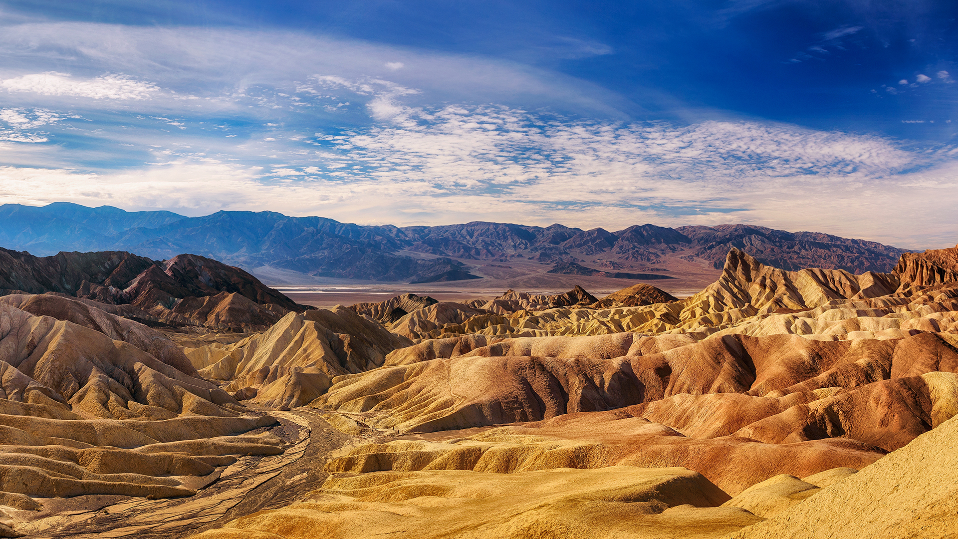 Desert Escape tour