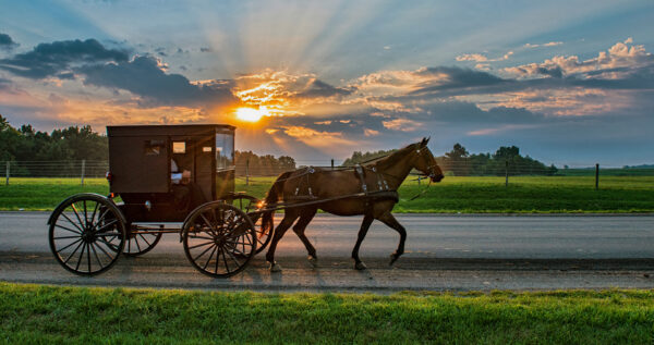 Amish Country Backroads tour