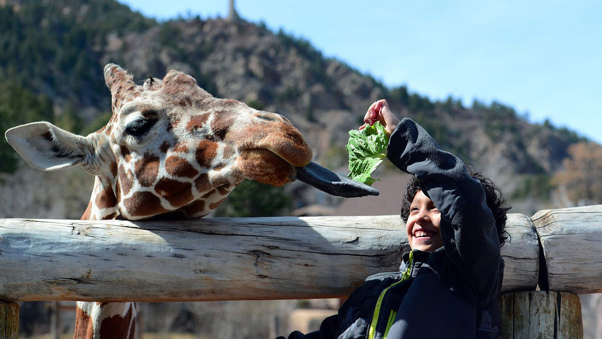 Colorado Springs Grandparents tour